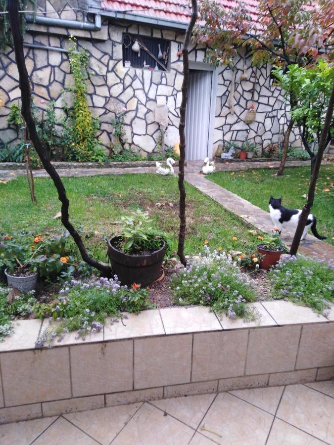 Appartement Janina Hisa à Stolac Extérieur photo